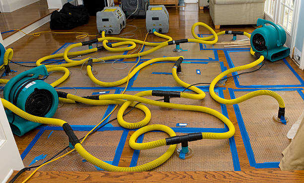 Professional Crawl Space Water Removal technician working in Morristown, NJ
